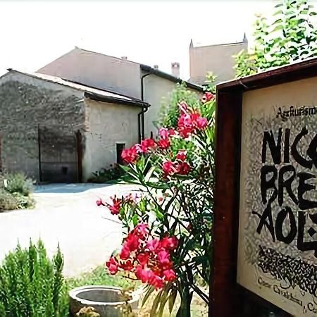 Agriturismo Nicobresaola Sommacampagna Exteriér fotografie